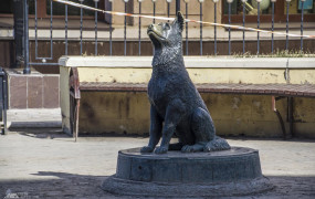 Памятник бездомным животным (Оренбург)
