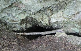 Пещера Колобок